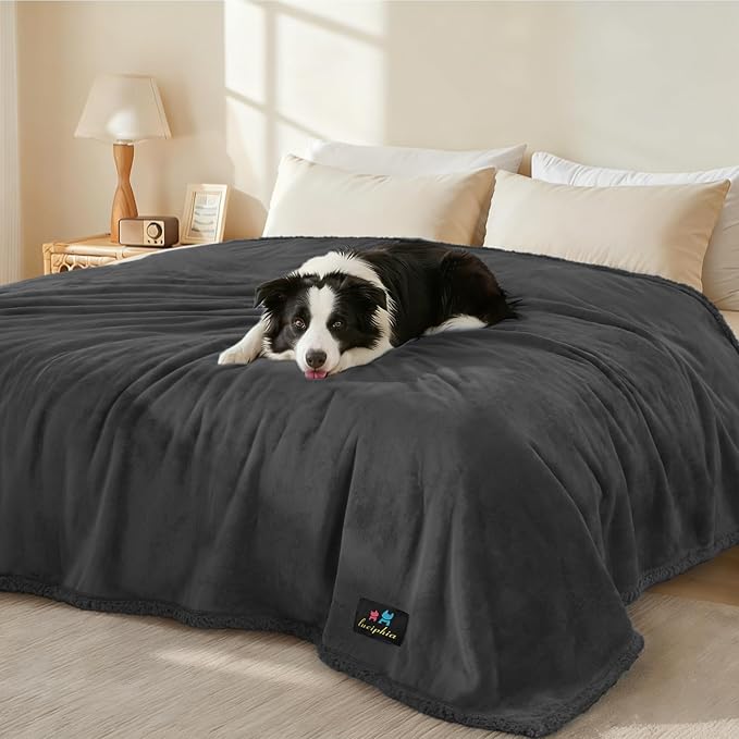 Luciphia Waterproof Pet Blanket, Liquid Pee Proof Dog Blanket for Sofa Bed Couch, Reversible Sherpa Fleece Furniture Protector Cover for Small Medium Large Dogs Cats, Black X-Large（85" x 57"）