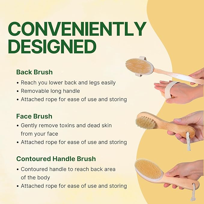 Asani Dry Brushing Body Brush Set for Lymphatic Drainage & Cellulite - 3-Pcs Detachable Back, Contour Body & Face Brushes Organic Gift for Dry Skin, Exfoliation, Invigorating Showers