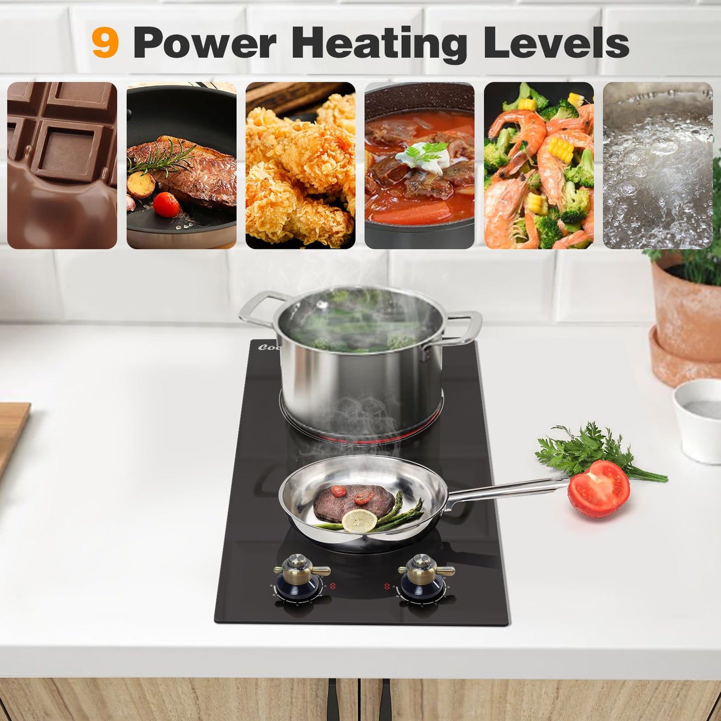 Cooksir 2 Burner Electric Cooktop - 12 Inch 220V Built-in Electric Stove Top 3000W, Ceramic Cook Top Radiant, 9 Power Heating Levels, Overheat Protection, Retro Knob, 220V - 240V Hard Wired (No Plug)