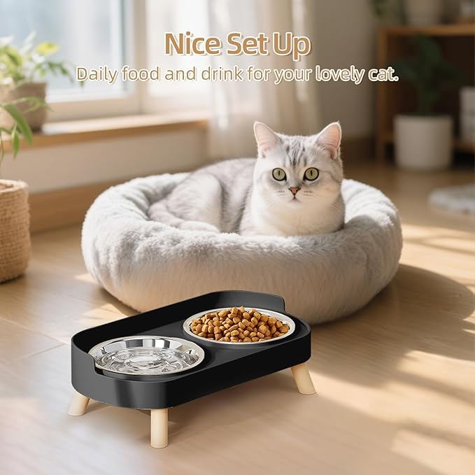 Elevated Cat Bowl, Raised Cat Food and Water Bowl Set for Indoor Cats, Splash Proof with 4 Stainless Steel Pet Food Bowls for Cats and Puppies, Whisker Fatigue and Dishwasher Safe - Black