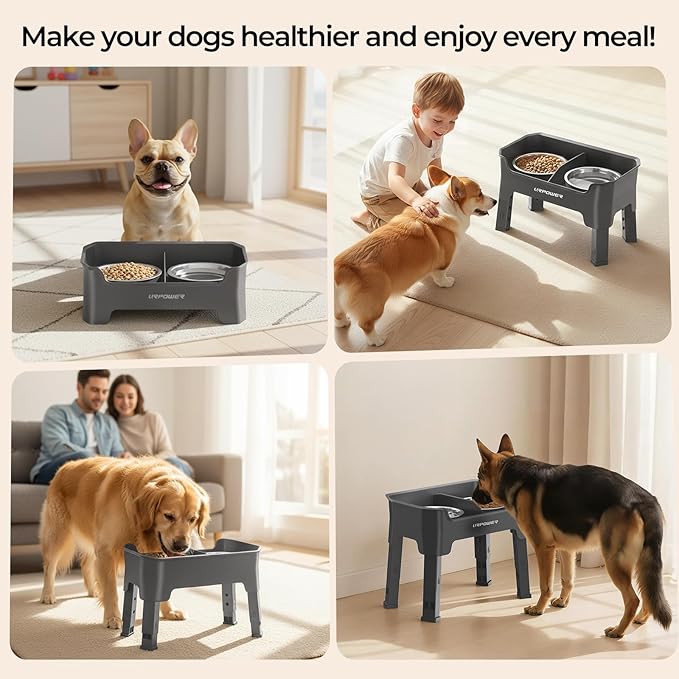 URPOWER Mess Proof Elevated Dog Bowls, High Wall Splash Guard Design, 4 Height Adjustable Raised Bowl Stand, 2 Large Stainless Steel Bowls, Non-Slip Food Water Set for Small Medium Large Dogs