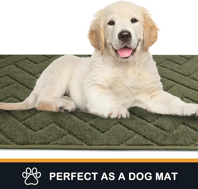 PURRUGS Dirt Trapping Door Mat 24" x 35.5", Non-Slip Machine Washable Entry Rug, Dog Doormat, Indoor Front Door Mat, Super Absorbent Entryway Rug for Muddy Shoes & Paws, Sage Green