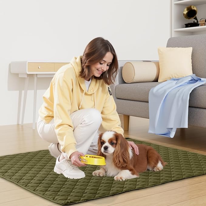 Smiry Waterproof Dog Bed Cover Blanket, Soft Reversible Pet Blanket, Washable Leakproof Cats Dogs Couch Cover for Sofa, Couch, Furniture (30x70 Inch, Green/Navy)