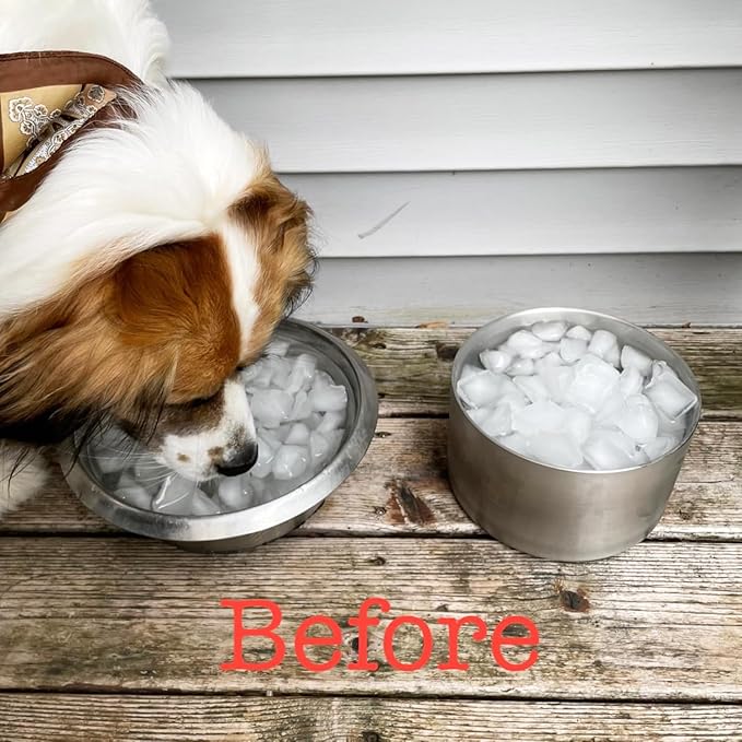 2L Double Layers 304 Stainless Steel Dog Bowl - Insulated & Durable | Non-Slip Base | Easy to Clean | BPA-Free Safe Dog Food and Water Bowl