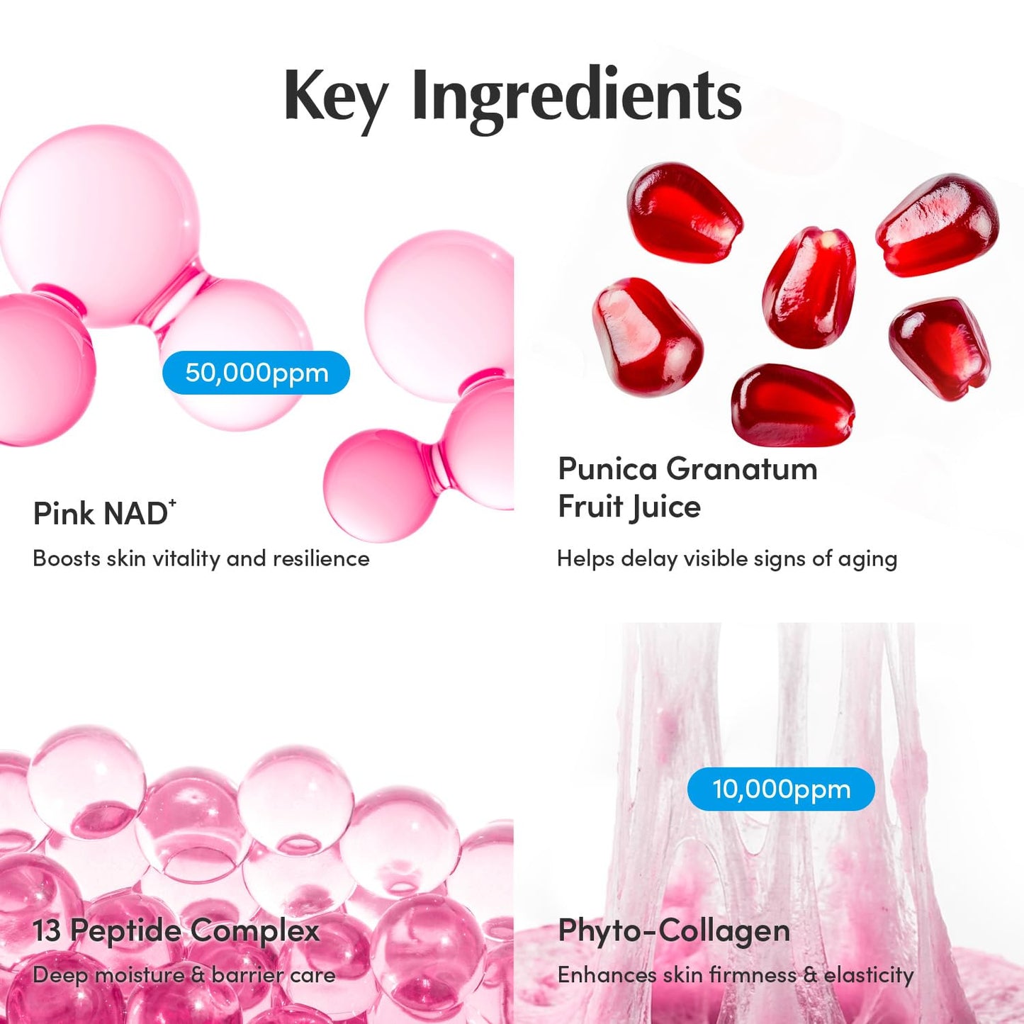 EQQUALBERRY NAD+ Peptide Boosting Cream – NAD+ 5% & 13 Peptides Anti-Aging Korean Skincare Face & Body Cream | Firming & Lifting Pink Neck Cream for Sagging Skin (1.69 fl.oz / 50ml)