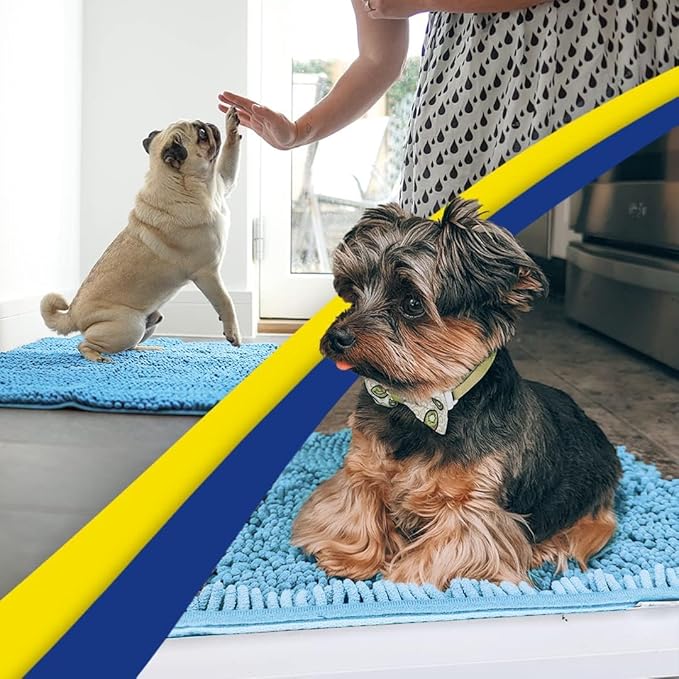 Muddy Mat® | Super Absorbent Door Mat Indoor, Microfiber Quick Dry Chenille Entryway Rug, Non-Slip Front Door Mat, Indoor Mats for Entryway, Machine Washable Pet Rug, Sky Blue 24"x36"