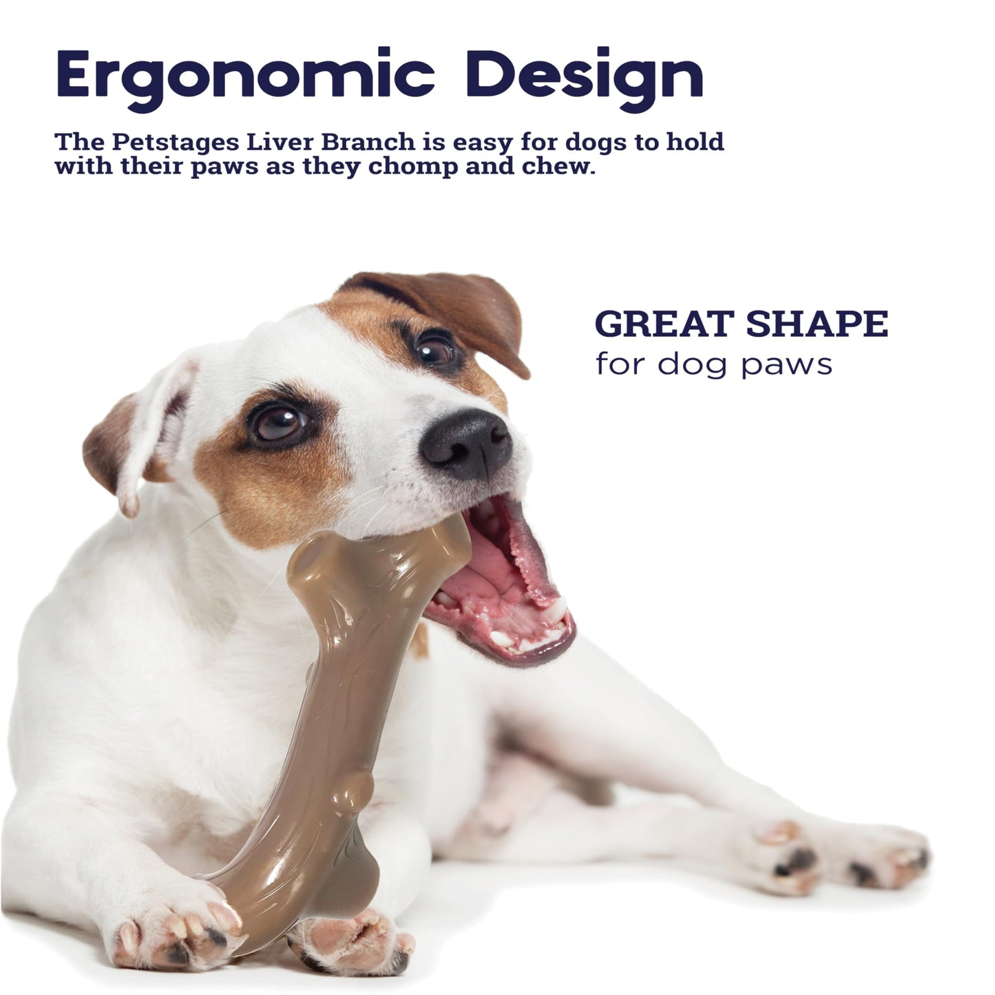Petstages Liver Branch Stick Dog Chew Toy – Beef Liver Flavor, Stick Alternative, Durable Nylon Design, Large