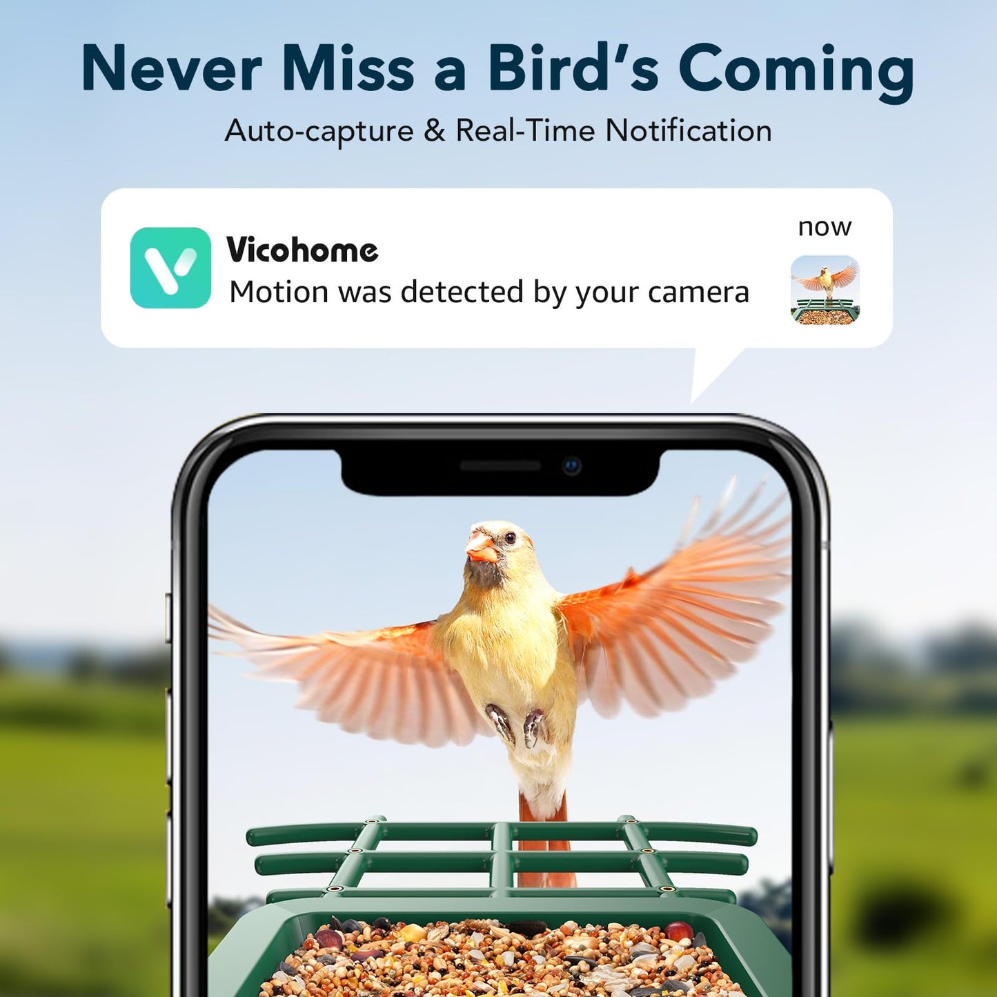 PeckCam Bird Feeder with Camera Solar Powered, AI Identify & Auto Capture with 32GB Card, 2K HD Live Video Smart Bird Feeder Camera Instant Notifications in Backyard, Gift for Bird Lovers