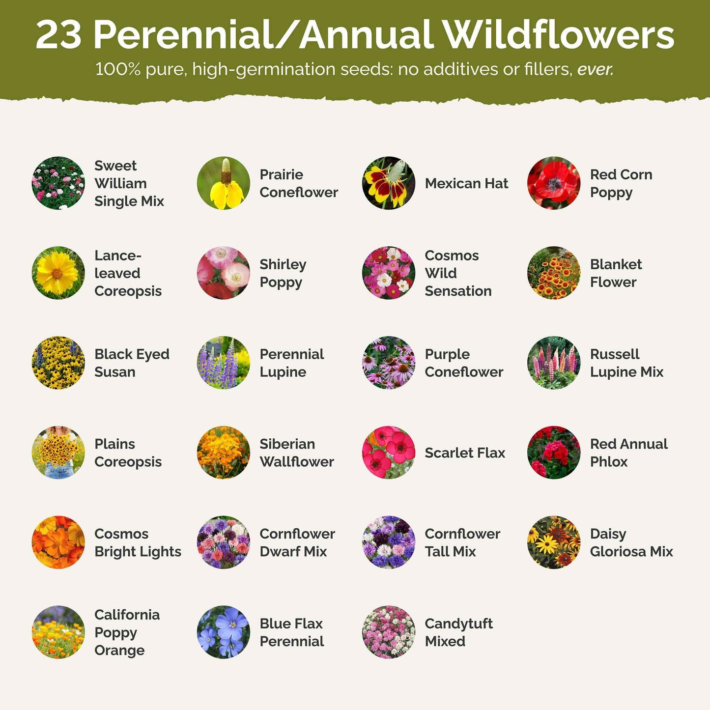 Eden Brothers Midwest Wildflower Mixed Seeds for Planting, 1 lb, 480,000+ Seeds with Cornflower, Candytuft, Mexican Hat | Attracts Pollinators, Plant in Spring or Fall, Zones 3, 4, 5, 6, 7, 8, 9, 10