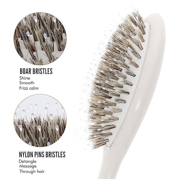 Boar Bristle Hair Brush -boar bristles + nylon pinsÃ¯Â¼Â Smoothes & Detangles All Hair Types, Hairbrush for Women, Men & Kids, Distributes Oils for Natural Shine & Stimulates Scalp