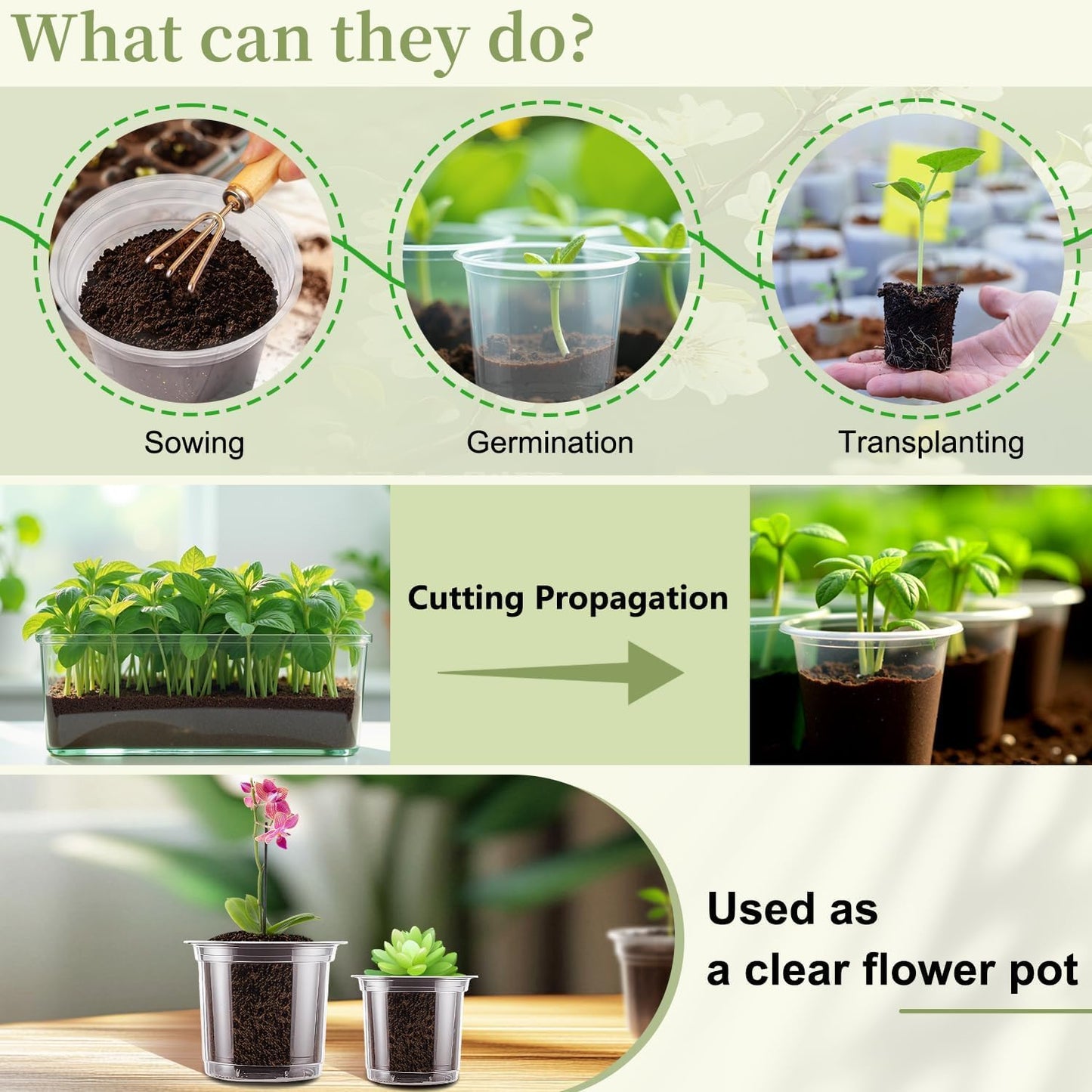 SupKing 6 Inch Clear Nursery Pots,20 Packs Large Plastic Seed Starters Durable Orchid Flower Pots with Drainage Holes for Transplanting Succulents Cuttings Seedlings Bonus 15 Labels