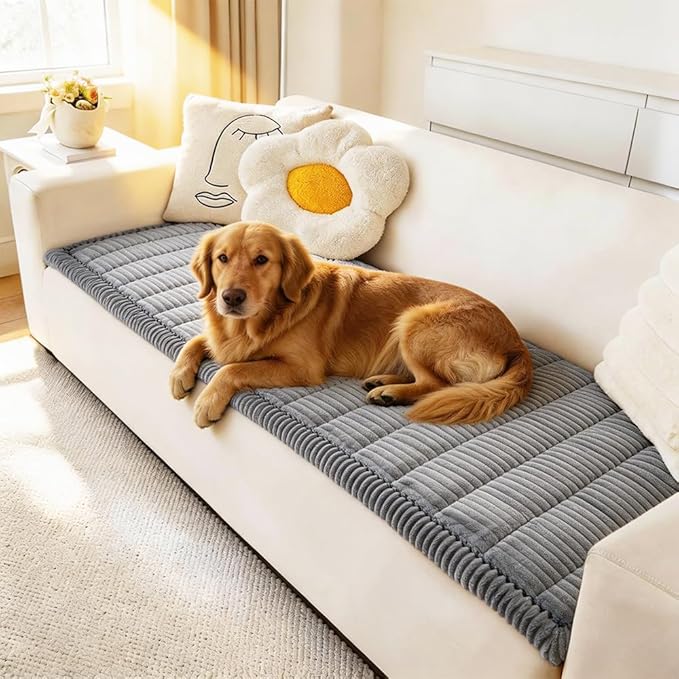 Couch Cover for Dogs Washable, Fuzzy Pet Couch Covers for 2 Cushion Sofa Pet Friendly, Non Slip Sofa Cover (Blue-Grey, 23.6" x 47"/60 x 120cm)