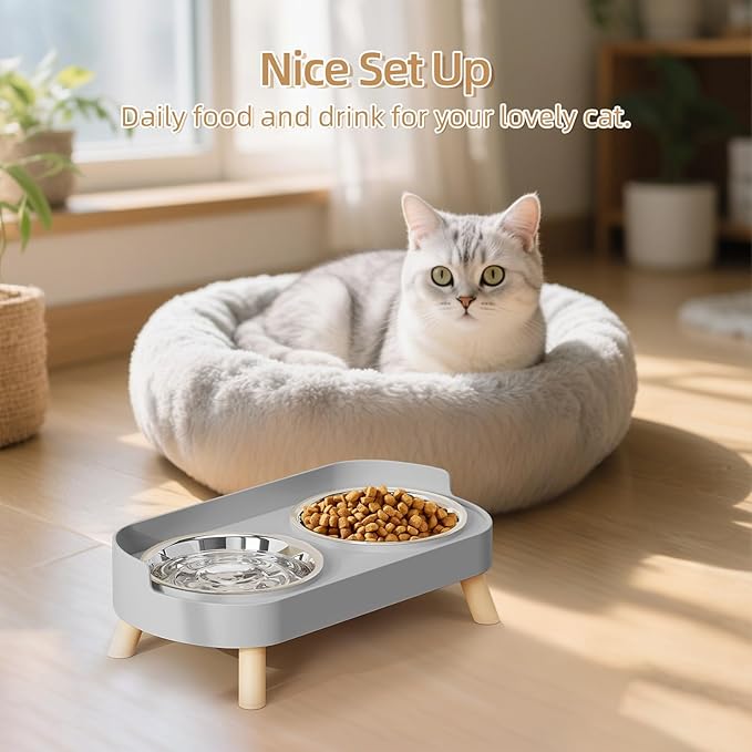 Elevated Cat Bowl, Raised Cat Food and Water Bowl Set for Indoor Cats, Splash Proof with 5 Stainless Steel Pet Food Bowls for Cats and Puppies, Whisker Fatigue and Dishwasher Safe - Grey