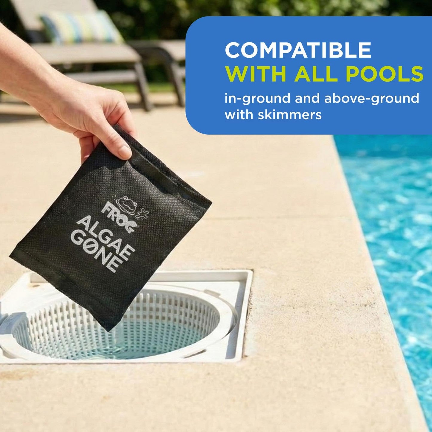 FROG Algae Gone - Dry Formula Algaecide Removes Green and Yellow Algae for In-Ground & Above-Ground Pools up to 20,000 Gallons - Chemical Pool Maintenance & Treatment - 2 Pods