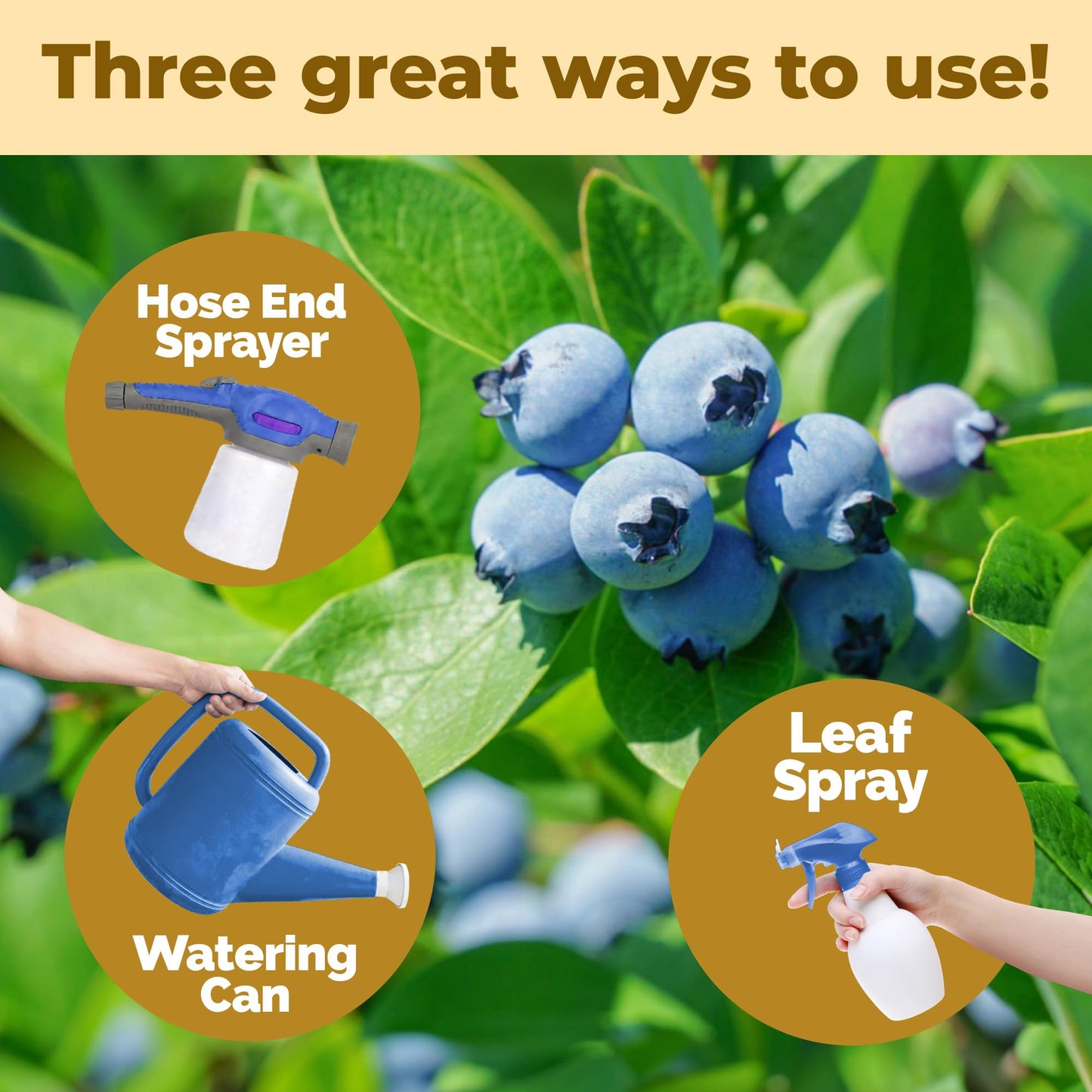 Ferrous Sulfate for Plants – Liquid Iron Sulfate for Plants for Greener Leaves, Improved Chlorophyll Production & Reduced Yellowing, 1 Gallon