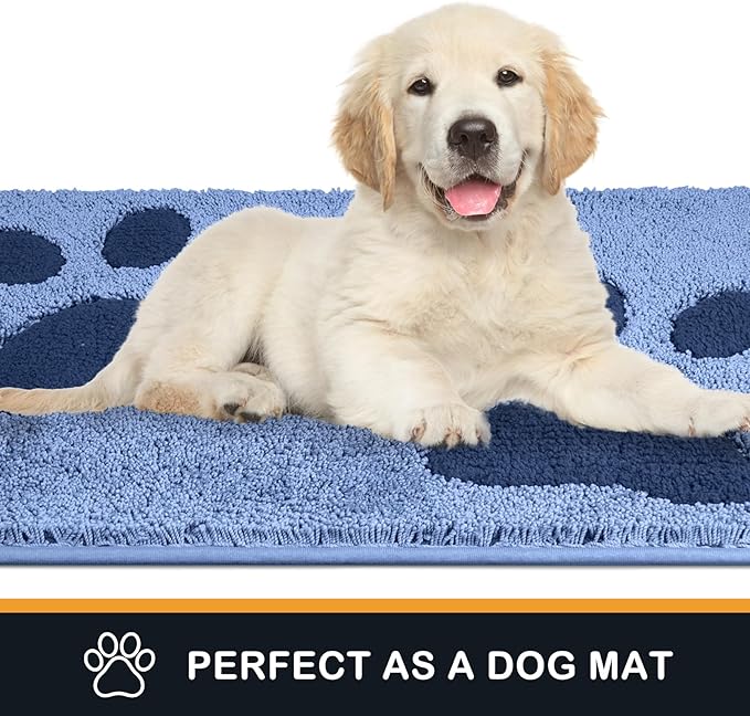 PURRUGS Dirt Trapping Door mat 32" x 47", Non-Skid/Slip Machine Washable Microfiber Entryway Rug, Dog Door Mat, Super Absorbent Welcome Mat for Muddy Wet Shoes and Paws, Light Blue