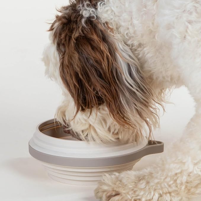 Cleverpup Nomad Large Collapsible Travel Dog Bowl - 4 Cup BPA-Free Silicone for Medium & Large Dogs, Portable, Food & Water, Dishwasher Safe - Sand