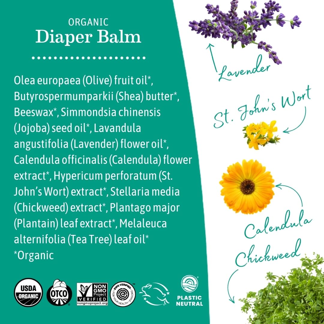 Earth Mama Organic Diaper Balm 2-Ounce | Diaper Cream for Baby | EWG Verified, Petroleum & Artificial Fragrance-Free with Calendula for Sensitive Skin (3-Pack)