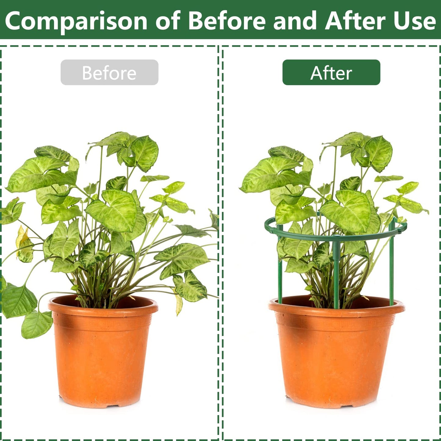 36Packs Plant Support Stake Half Round Plant Support for Indoor Plants, Stackable 3 Tier Garden Flower Support, Plant Rings for Tomato,Monstera, Peony, Hydrangea, Climbing Plants