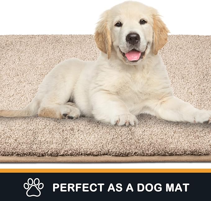 PURRUGS Dirt Trapping Door Mat 31.5" x 47", Non-Slip Machine Washable Entryway Rug, Dog Doormat, Indoor Front Door Mat, Super Absorbent Entry Rug for Muddy Shoes & Paws, Taupe