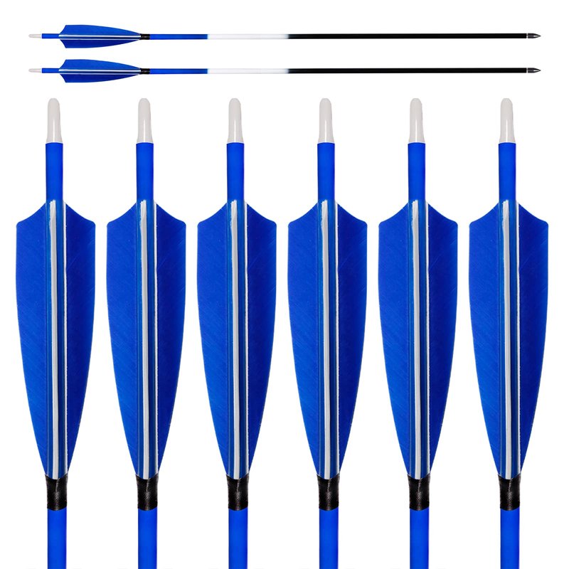 ARCHERY SHARLY 31Inch Carbon Hunting Arrow for Compound & Recurve Bow, Turkey Feather Fletching Targeting Practice Arrows with Removable Tips Blue White (Pack of 6)