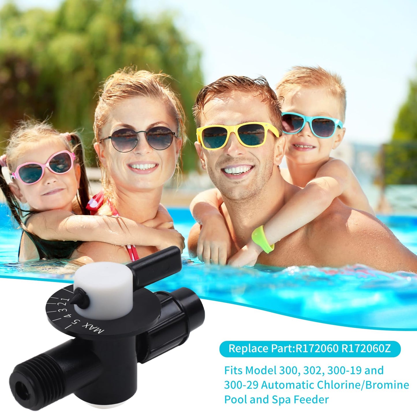 New Upgraded R172060 1/4-Inch NPT Control Valve, Compatible with Model 300, 302, 300-19 and 300-29 Automatic Chlorine/Bromine Pool and Spa Feeder