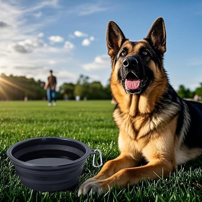 Extra Large Dog Bowl Pet Collapsible Bowls, 2 Pack Collapsible Dog Water Bowls for Large Dogs, Portable Pet Feeding Water Dish for Walking Parking Traveling with 2 Carabiners (Black+Black, Jumbo)