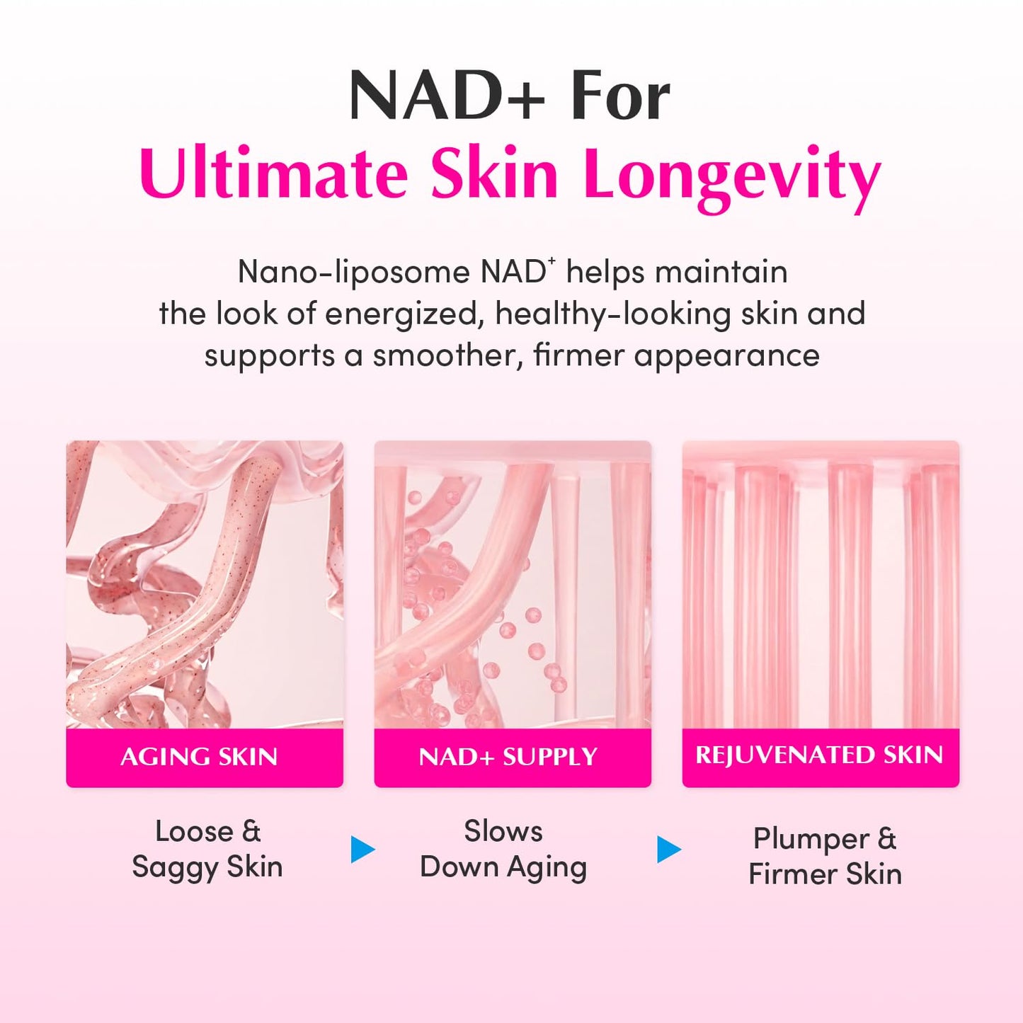 EQQUALBERRY NAD+ Peptide Boosting Cream – NAD+ 5% & 13 Peptides Anti-Aging Korean Skincare Face & Body Cream | Firming & Lifting Pink Neck Cream for Sagging Skin (1.69 fl.oz / 50ml)
