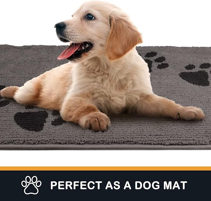 PURRUGS Dirt Trapping Door Mat 20" x 31.5", Non-Skid/Slip Machine Washable Microfiber Entrance Rug, Shoes Scraper, Dog Doormat, Super Absorbent Floor Mat for Muddy Wet Shoes and Paws, Light Grey