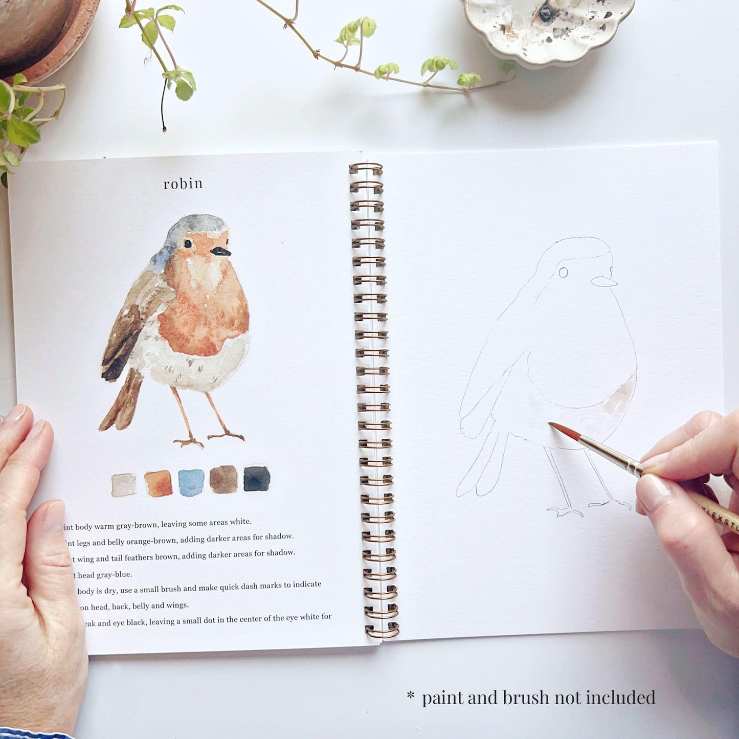 Birds Watercolor Workbook by Emily Lex Studio, 12 Beginner Friendly Sketched Illustrations, Lay Flat Spiral Pages, 6.5 x 9 inch, 120lb Watercolor Paper