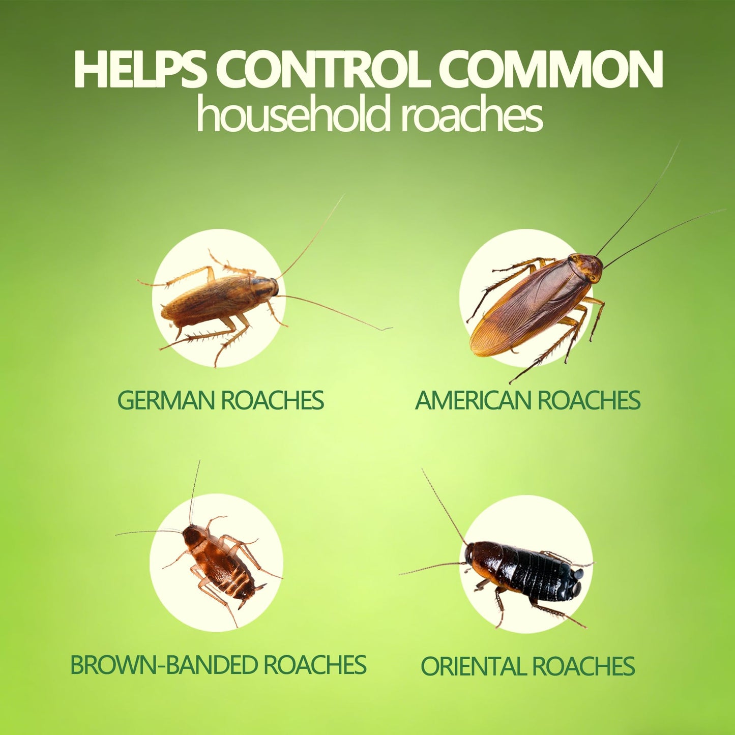 Cockroach Gel Bait Indoor (120g, 4×30g) – German Roach Bait for Kitchen Cabinets, Under Sink & Appliances – Precision Syringe Pest Control Solution
