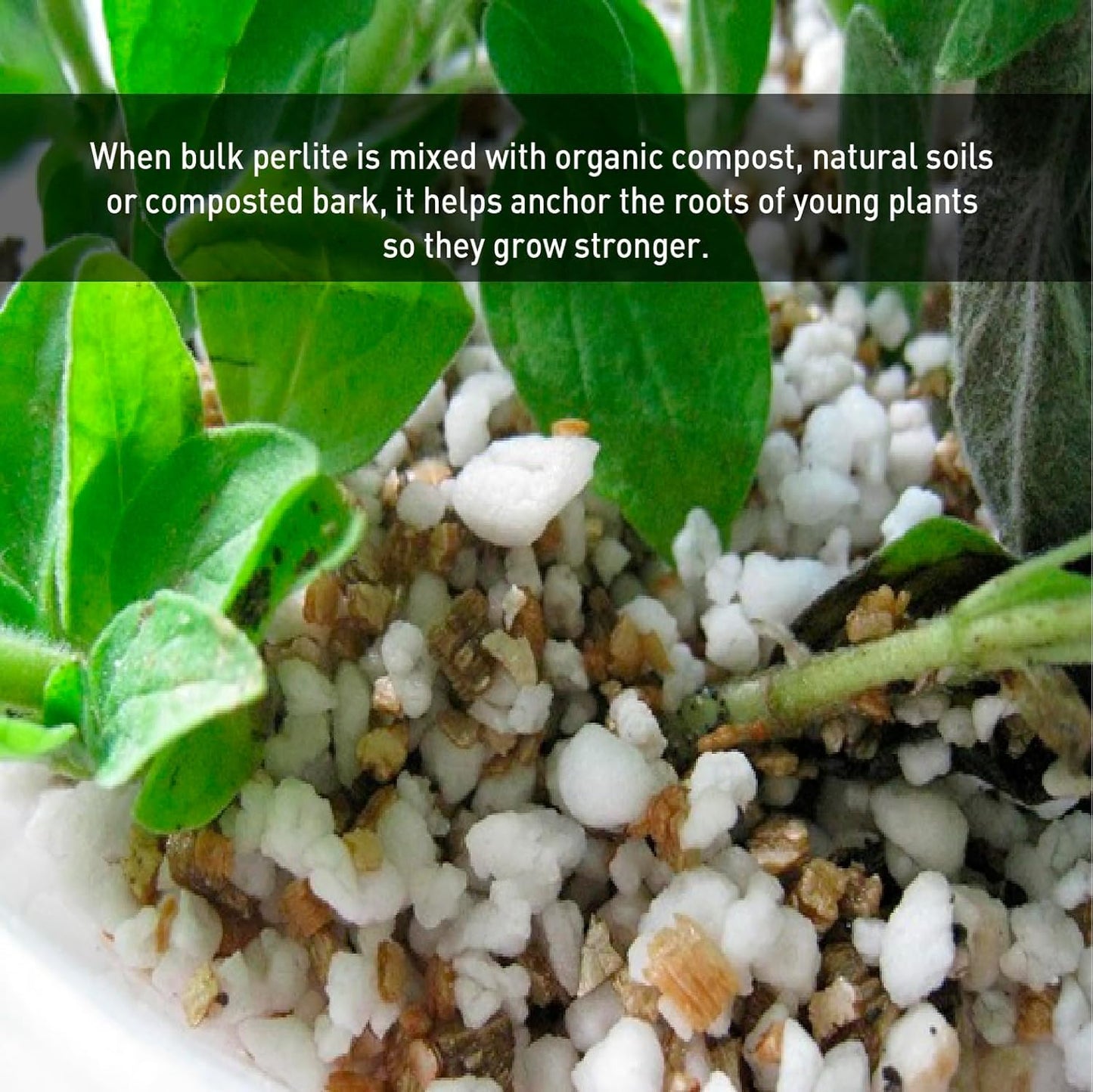 Norcal Perlite Horticultural Organic Certified Premium Screened Coarse Garden Indoor Outdoor Plants Soil and Drainage 4 Cubic Feet (103 Quarts) 1 Bag