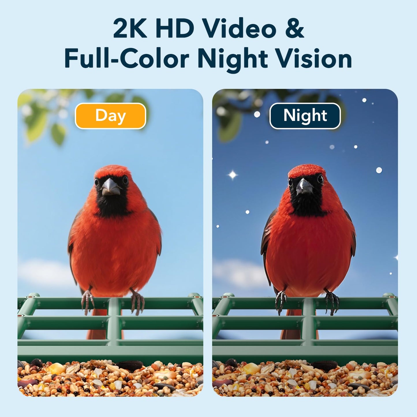 PeckCam Bird Feeder with Camera Solar Powered, AI Identify & Auto Capture with 32GB Card, 2K HD Live Video Smart Bird Feeder Camera Instant Notifications in Backyard, Gift for Bird Lovers