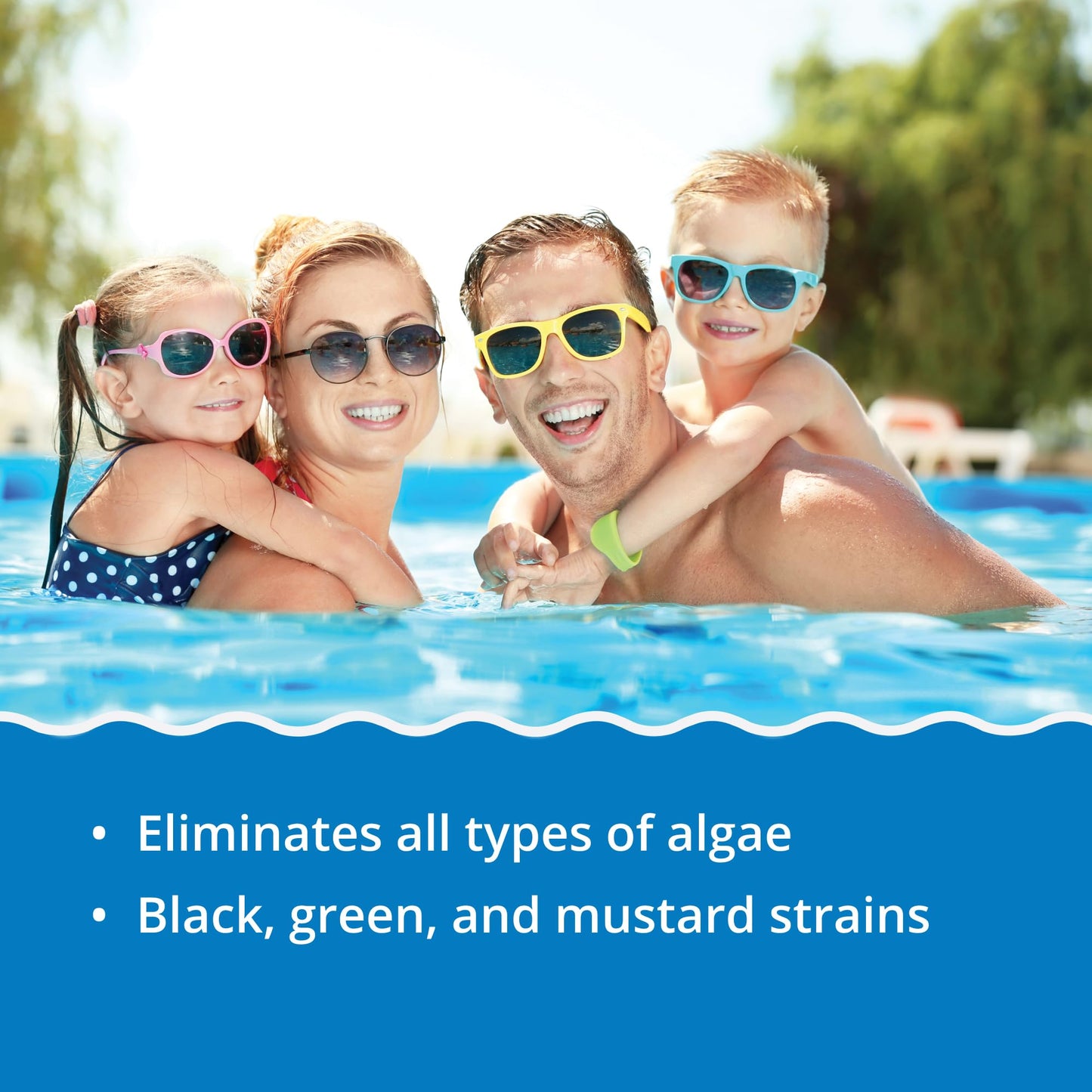 In The Swim Algaecide 50 for Swimming Pools - Green, Black, and Yellow Algae Treatment for Above Ground or Inground Swimming Pools - 1 Quart