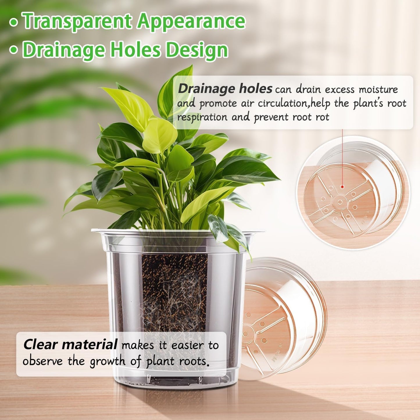 SupKing 6 Inch Clear Nursery Pots,20 Packs Large Plastic Seed Starters Durable Orchid Flower Pots with Drainage Holes for Transplanting Succulents Cuttings Seedlings Bonus 15 Labels