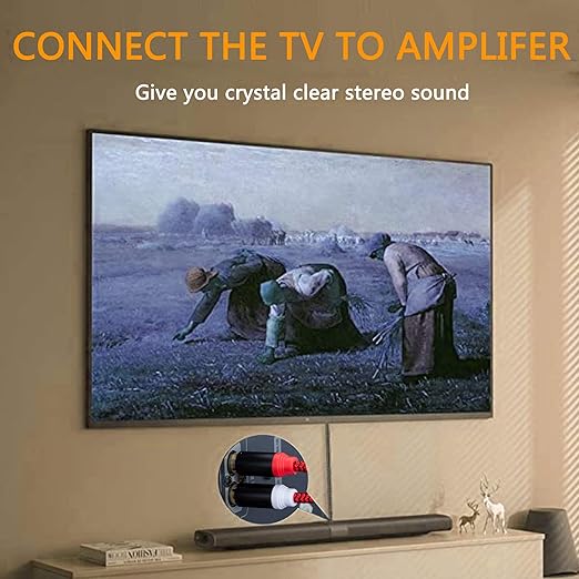 RCA Cable 15Ft,2Rca Male to 2-Rca Male Audio Stereo Subwoofer Cable [Hi-Fi Sound] Nylon-Braided Auxiliary Audio Cord for Home Theater, HDTV, Amplifiers, Hi-Fi Systems,Speakers and etc(15Ft/5M)