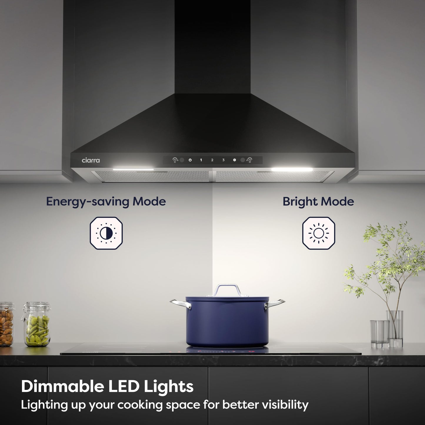 CIARRA Range Hood 30 Inch Wall Mount Range Hood in Stainless Steel, 450 CFM Stove Vent Hood for Kitchen with 3 Speed Exhaust Fan, Touch Control, LED Light, Ducted/Ductless Convertible - CAS75102