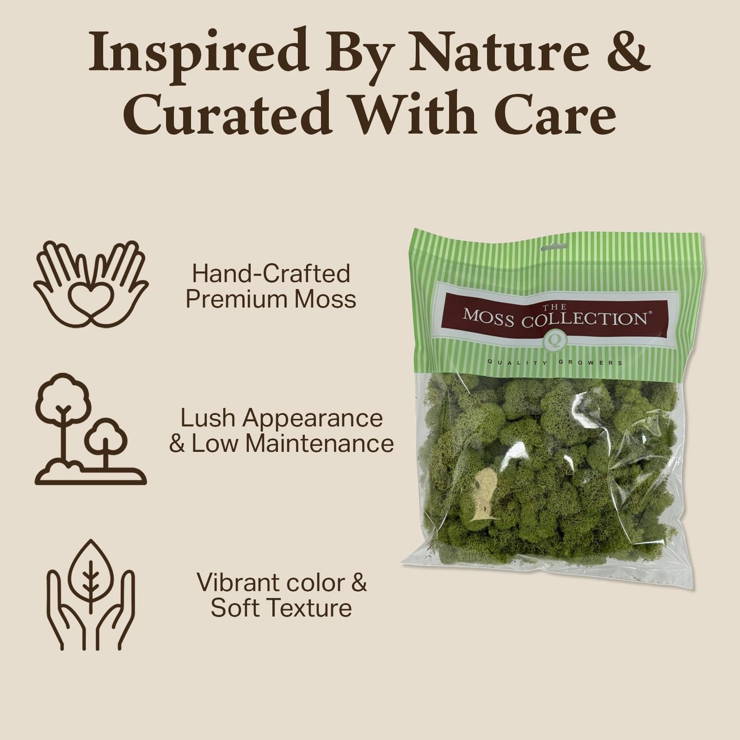 Quality Growers - Preserved Reindeer Moss - Moss for Crafts, Home Decor, Art, Design & DIY Projects - Non-Toxic - USA Made (Spring Green, Medium, 2-Pack)