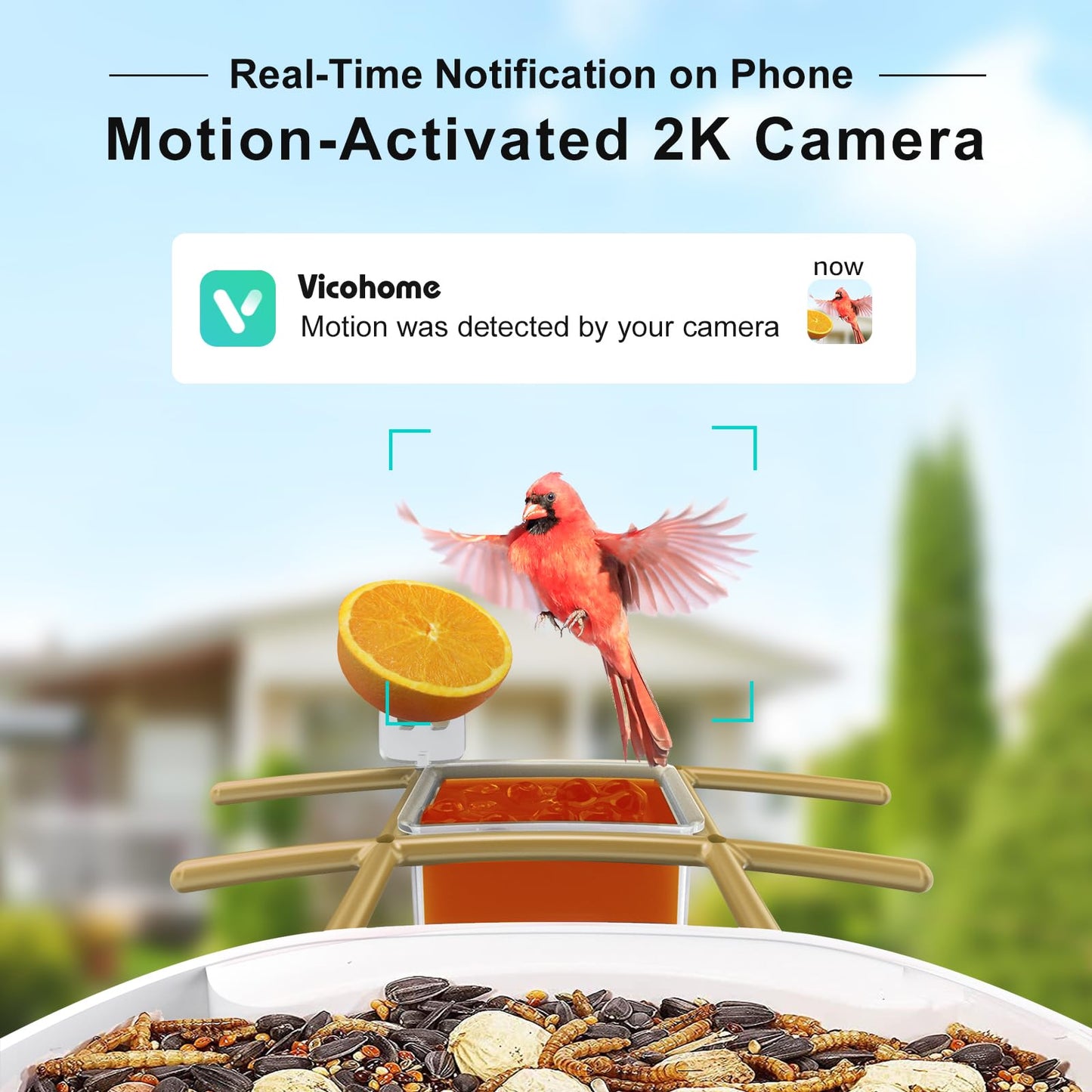 birdsnap® TUC Bird Feeder with Camera 2K HD Live with 32GB Card Auto Detect & Notify AI Identify Camera Birds Feeders Solar Powered Wireless Outdoors Backyard Gift for Mom Dad Birds Lover, 2.4G WiFi