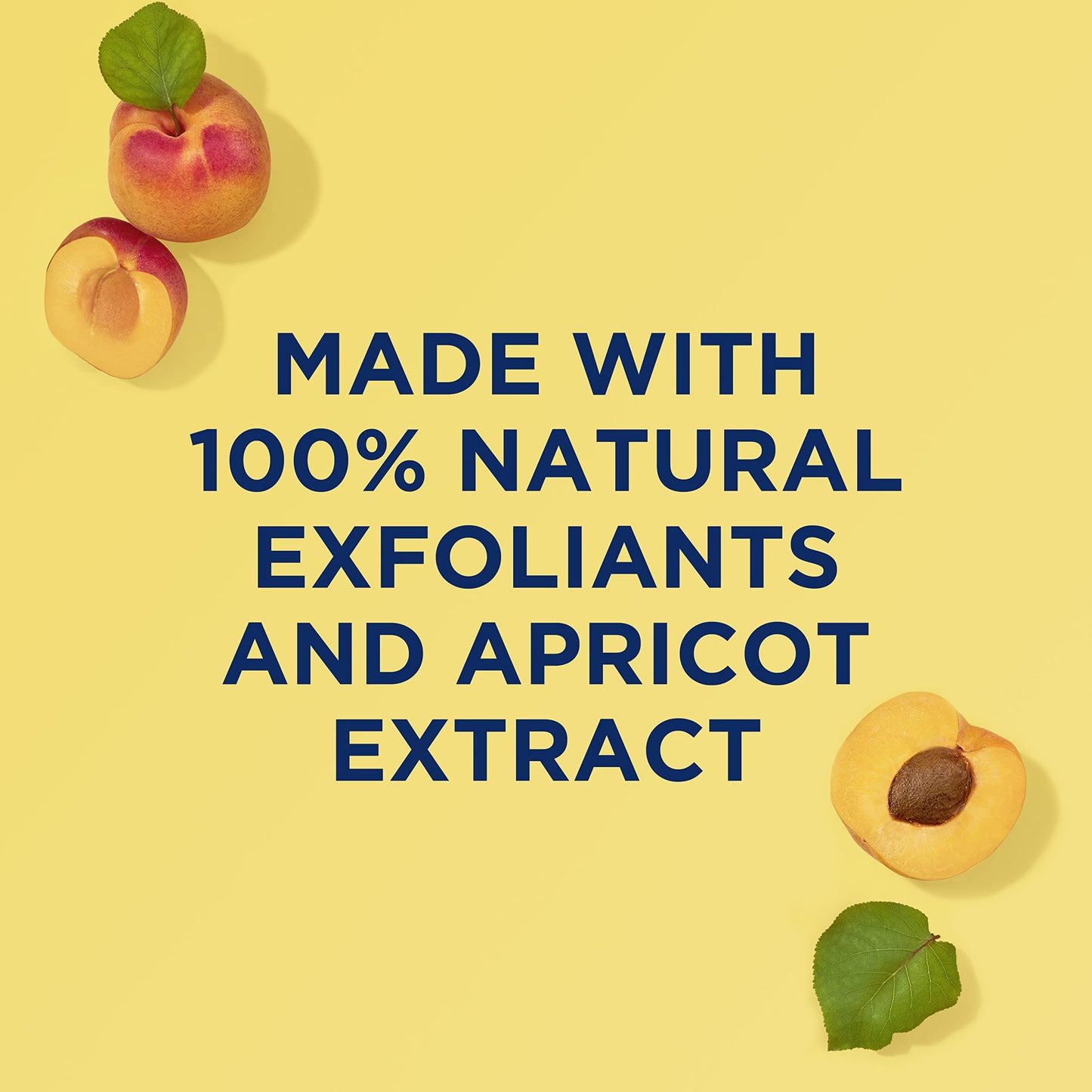St. Ives Face Scrub Exfoliates | Apricot | For Smooth Glowing Skin | Dermatologist Tested | 6 oz Pack of 3