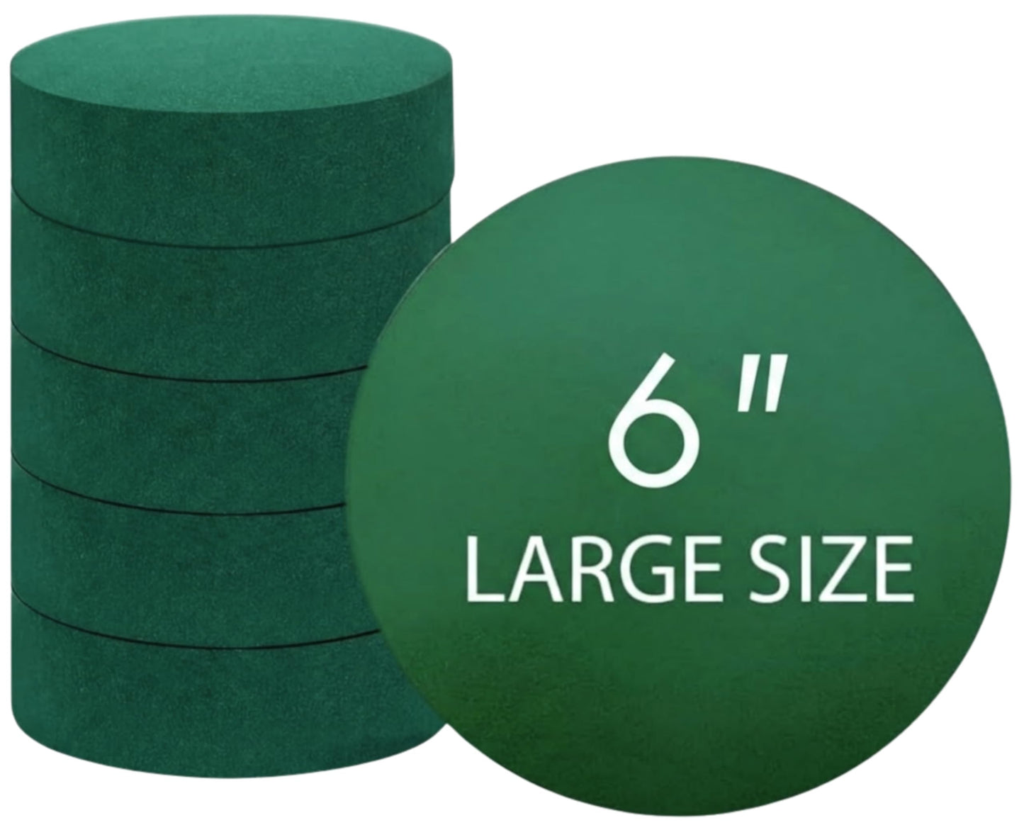 Pack of 6 FLOFARE Round Floral Foam Blocks for Fresh and Artificial Flowers, (6" X 1.5"), Dry & Wet Green Flower Foam for Flower Arrangements and Florist Supplies