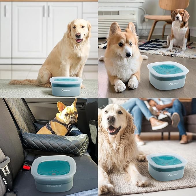 LumoLeaf No Spill Water Bowl for Dogs, Slow Feeder for Messy Drinkers, Drip-Free & Splash-Proof Design (Blue, 35oz)