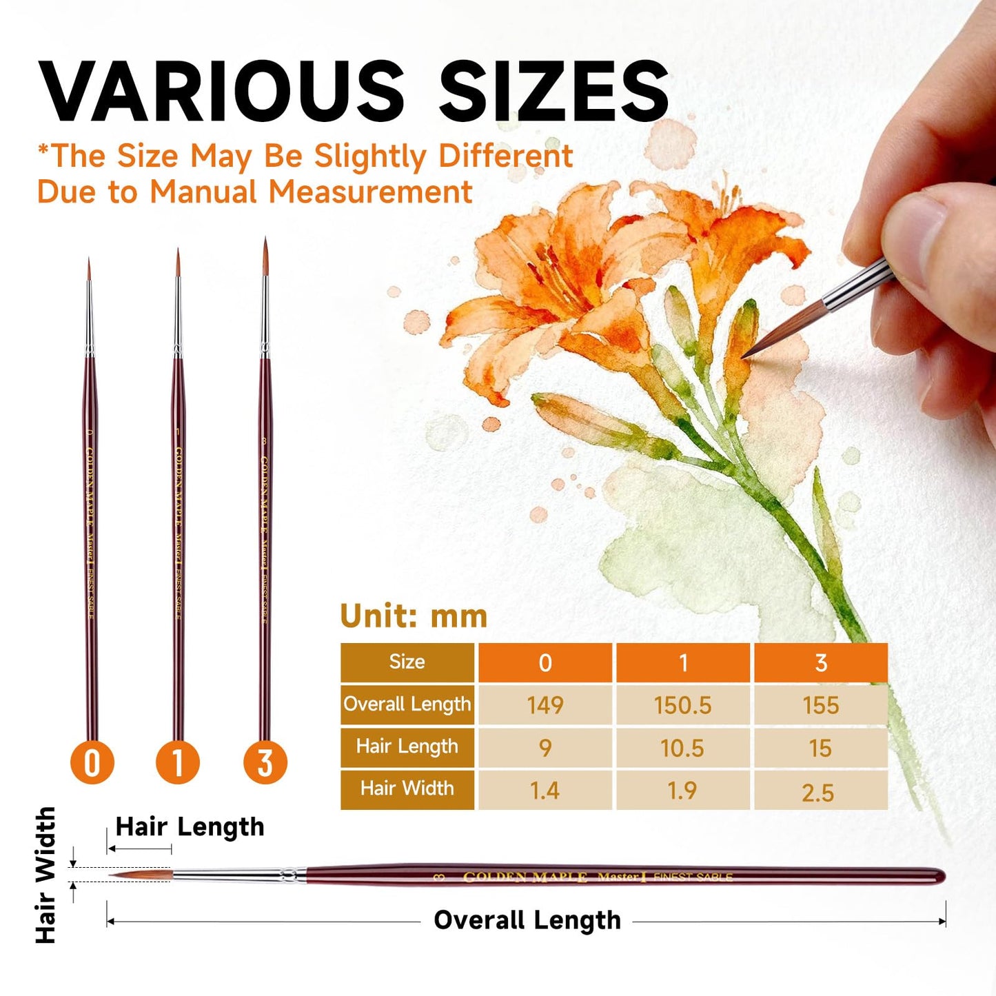 Golden Maple Kolinsky Sable Miniature Paint Brushes, Professional Detail Paint Brushes Round Point Paint Brush for Models, Watercolor Details, Figures & Gouache Painting - Size 0, 1, 3