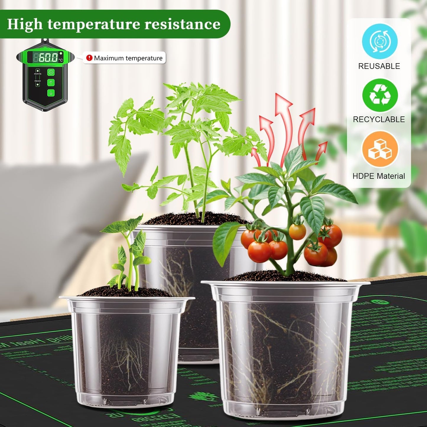 SupKing 6 Inch Clear Nursery Pots,20 Packs Large Plastic Seed Starters Durable Orchid Flower Pots with Drainage Holes for Transplanting Succulents Cuttings Seedlings Bonus 15 Labels