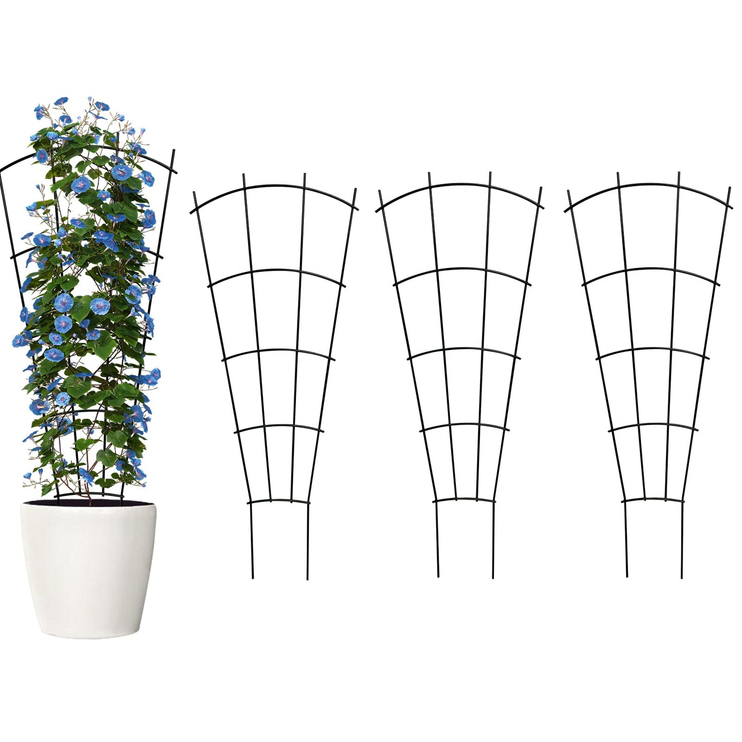 Thealyn 4 Pack 32" Metal Plant Trellis for Pots & Garden Beds, Rustproof Support for Indoor Outdoor Climbing Plants, Vines, Flowers, Fan Shaped, Black
