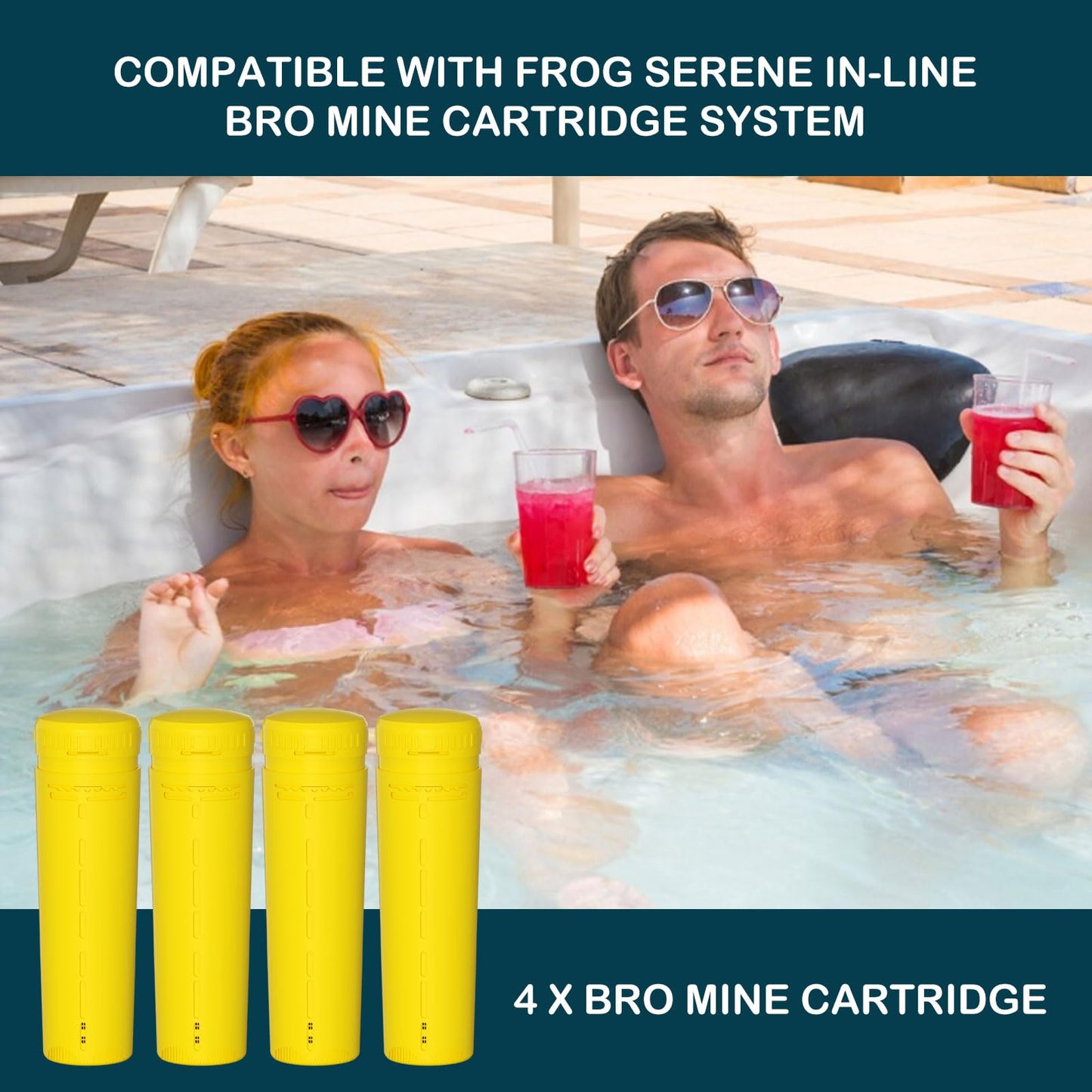 Replacement Cartridges (4 Pack)