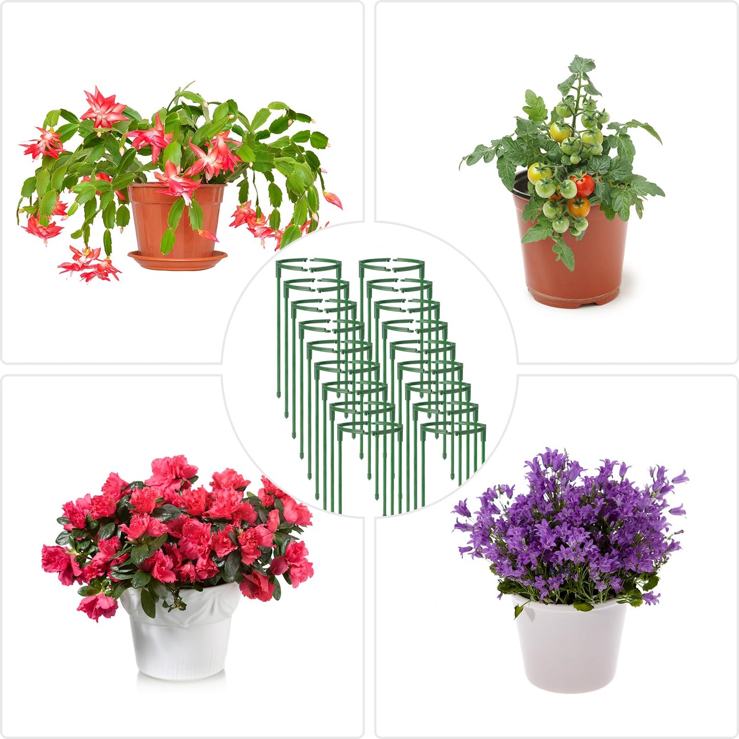 36Packs Plant Support Stake Half Round Plant Support for Indoor Plants, Stackable 3 Tier Garden Flower Support, Plant Rings for Tomato,Monstera, Peony, Hydrangea, Climbing Plants