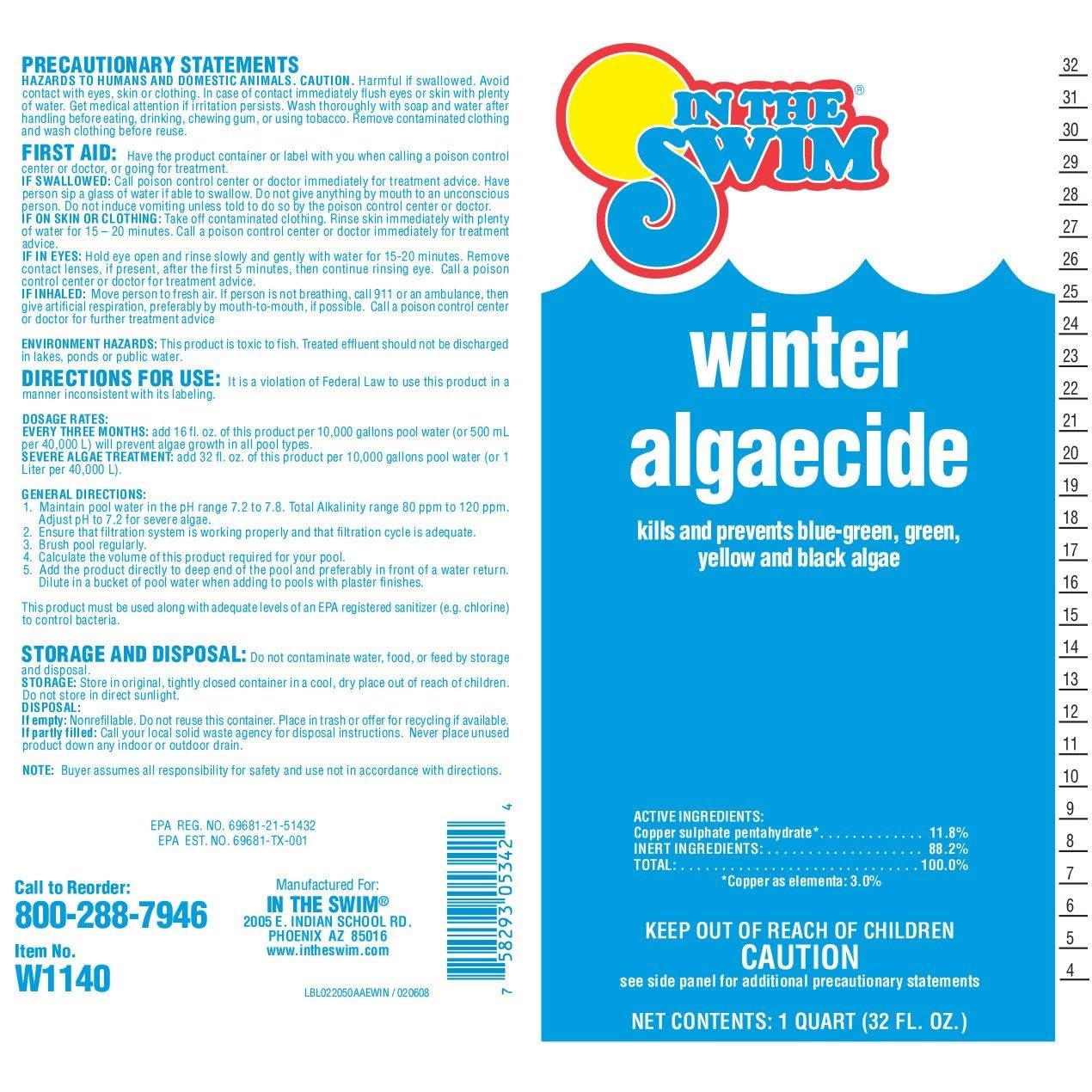 In The Swim Winter Swimming Pool Algaecide - 1 Quart