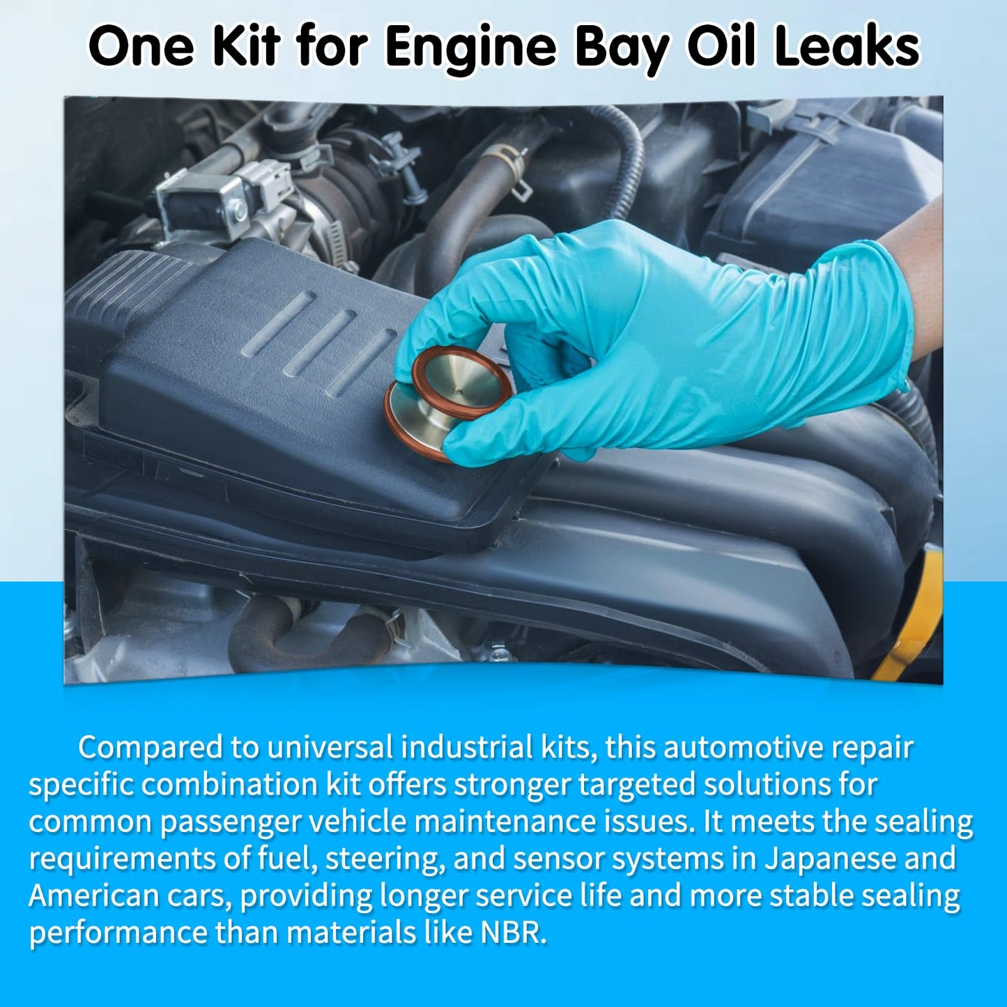 Langina 300pcs FKM Viton O-Ring Kit, 22Sizes SAE AS568 FKM O-Rings Set for Auto Fluid Systems, High Temp&Oil Resistant Viton Assortment, O Rings Repair Kit for Engine,Transmission&Brake Systems