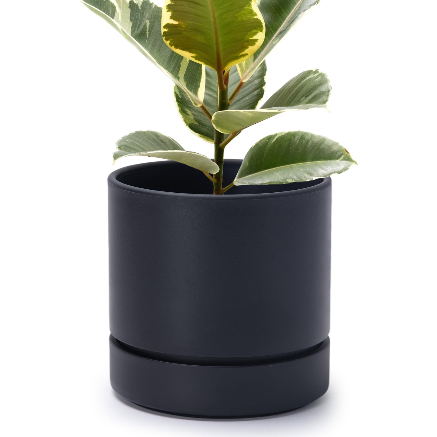 Phoenix Vine 8 Inch Planter Pot with Drainage Hole & Saucer, Deep Water Catch Tray, Straight Cylindrical Round Pot for Plants, Matte Black, Pack of 1, 23-C-T-1